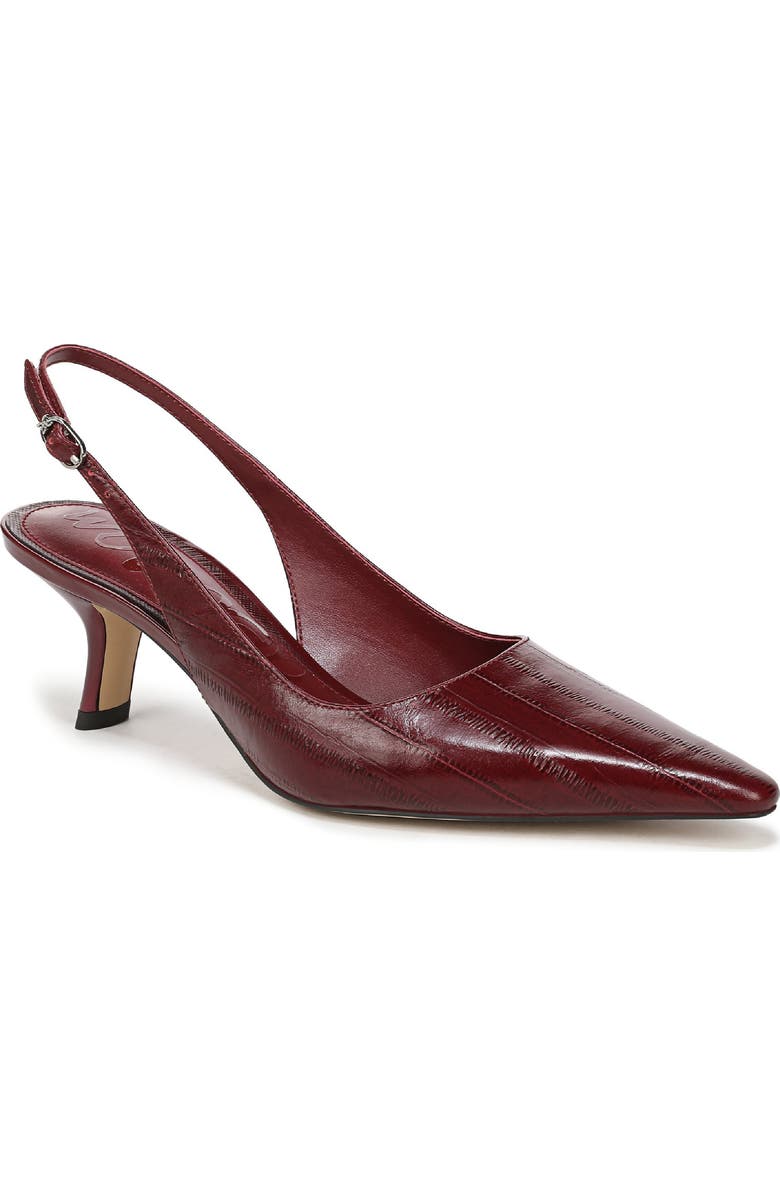 Bianka Slingback Pointed Toe Pump