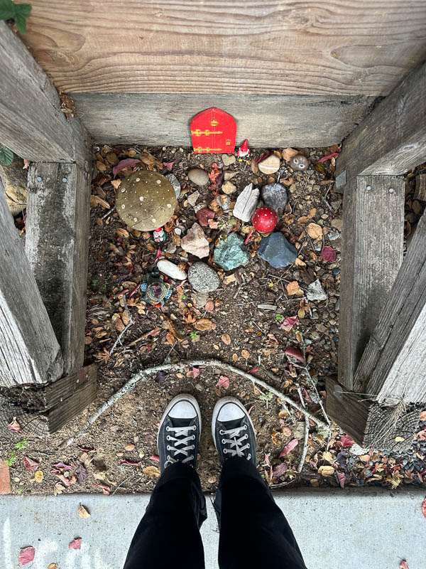 My Everyday Life Week 46 of 2025- Tracy Benjamin of Shutterbean.com