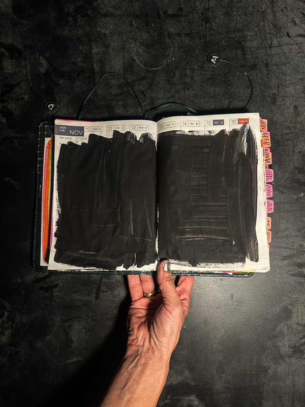 My Everyday Life Week 46 of 2025- Tracy Benjamin of Shutterbean.com