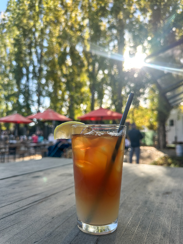 My Everyday Life Week 46 of 2025- Tracy Benjamin of Shutterbean.com