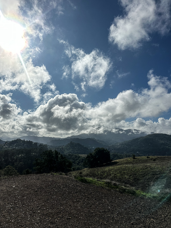 My Everyday Life Week 46 of 2025- Tracy Benjamin of Shutterbean.com