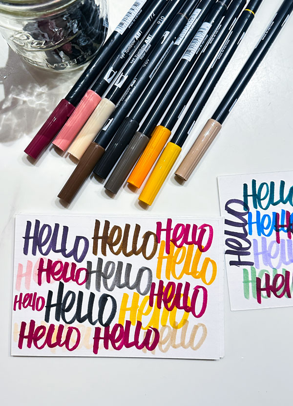 My Everyday Life Week 46 of 2025- Tracy Benjamin of Shutterbean.com